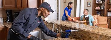 Best Termite Inspection and Treatment  in Garland, TX