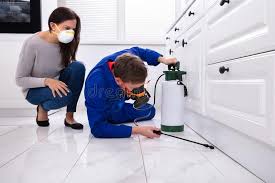 Best Emergency Pest Control  in Garland, TX